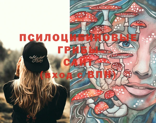 твердый Белоозёрский