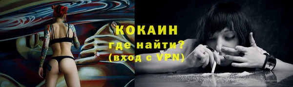 твердый Белокуриха