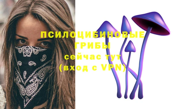 твердый Белокуриха