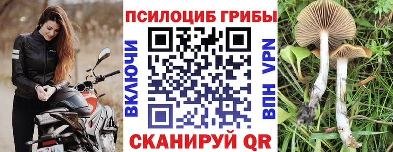 Псилоцибиновые грибы GOLDEN TEACHER  Наро-Фоминск 